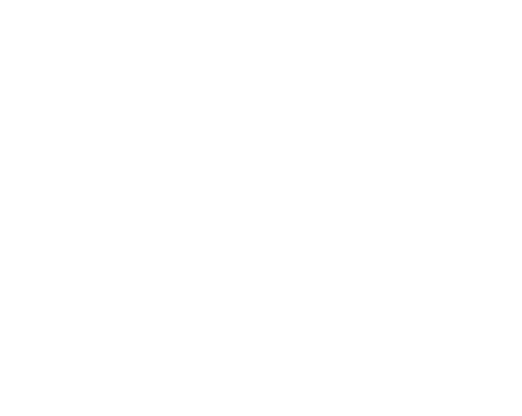 AtlantaWeddingArch